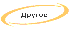 Другое